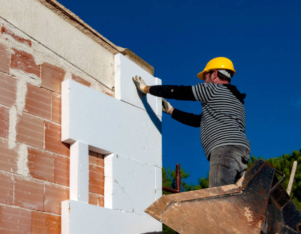 Best Insulation Inspection Services  in Pleasant Valley, MO
