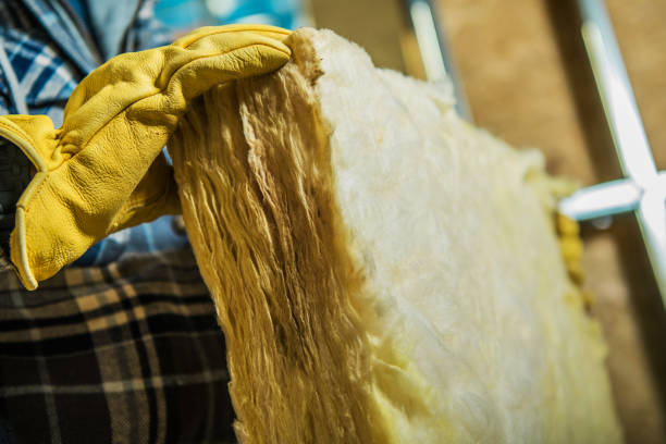 Best Soundproof Insulation Installation  in Pleasant Valley, MO