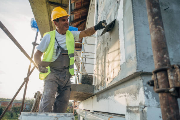 Best Cellulose Insulation  in Pleasant Valley, MO