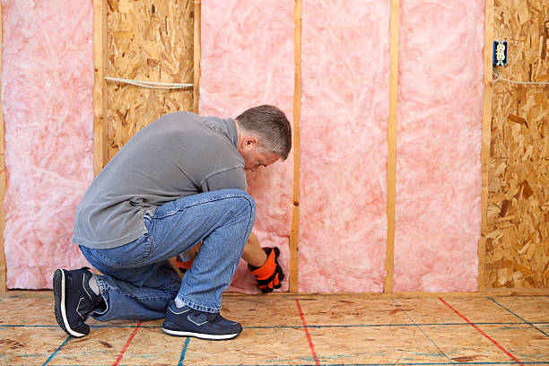 Best Commercial Insulation Contractor  in Pleasant Valley, MO
