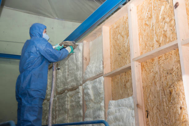 Best Wall Insulation Contractor  in Pleasant Valley, MO