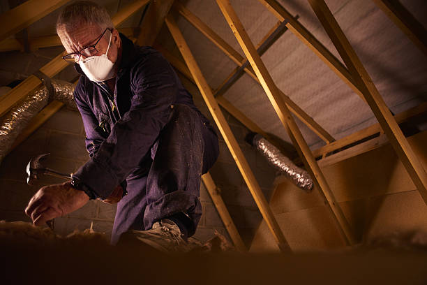 Best Home Insulation Services  in Pleasant Valley, MO